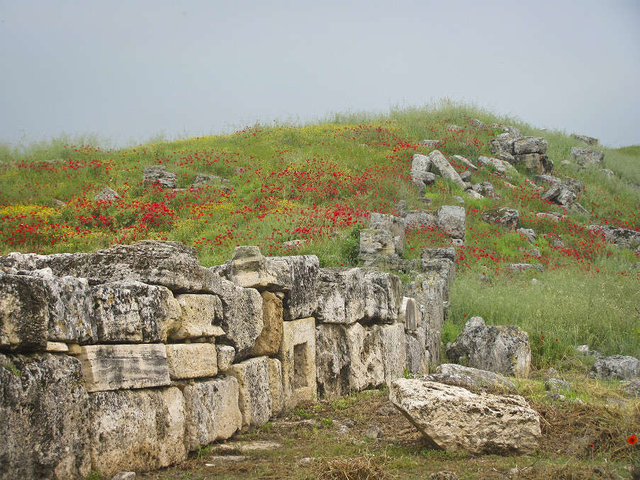 ������ � ������ ����� �������  �� PhotoGeek.ru #������ ��� �������