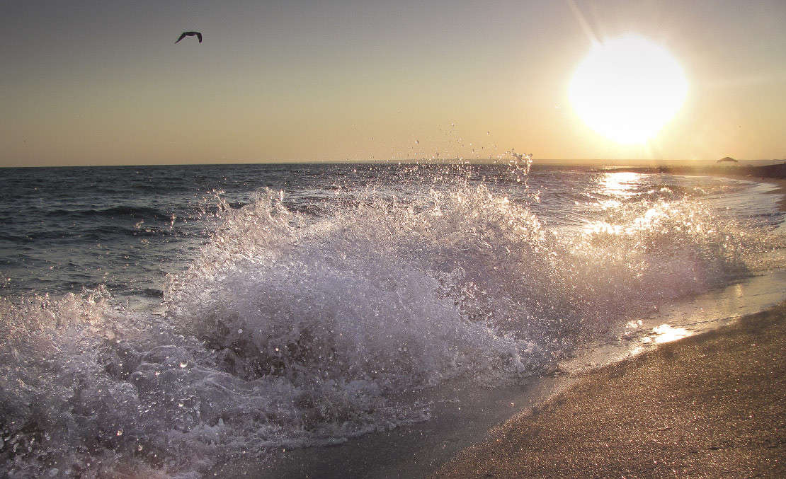 ���� ����� �������  �� PhotoGeek.ru #������ ��� �������