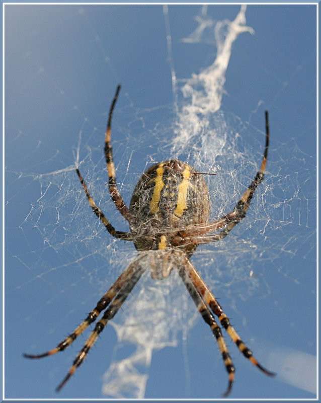 �� ���� ���� ����� �������  �� PhotoGeek.ru #����� #������ ��� �������