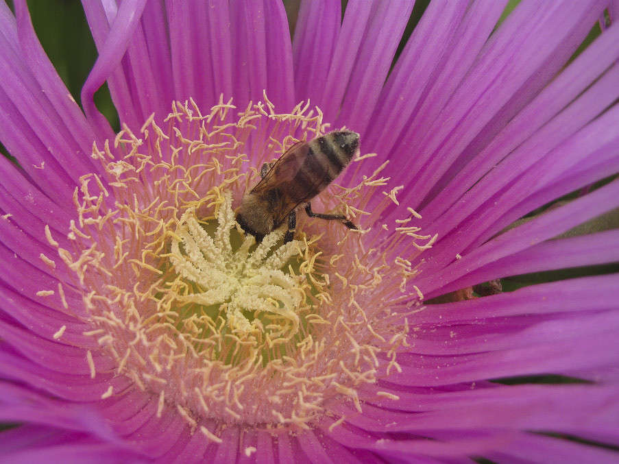 ������� ����������� ����� �������  �� PhotoGeek.ru #������ ��� ������� #����� ��������������