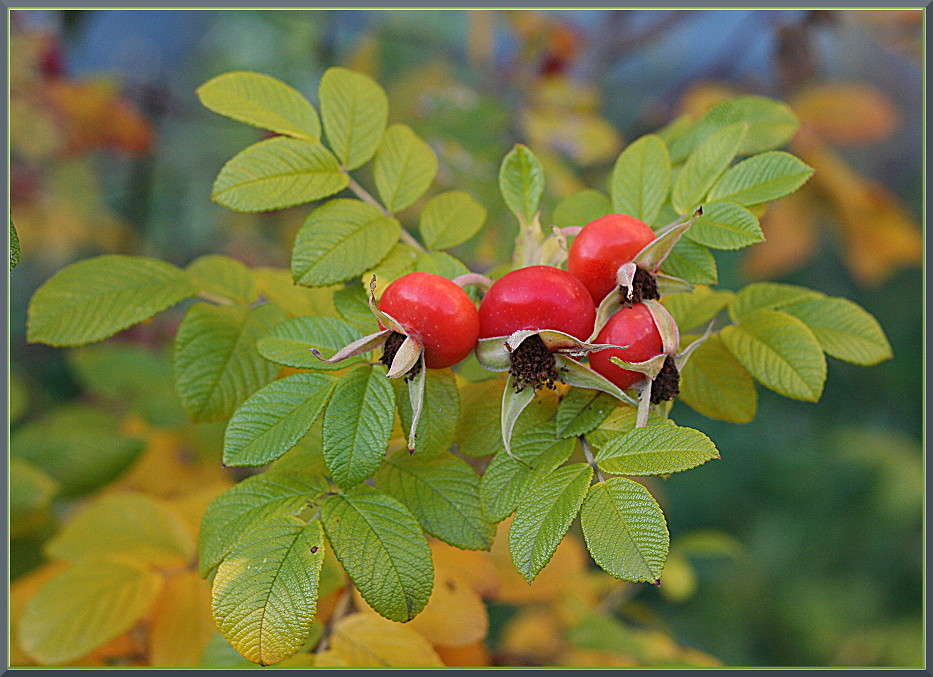 �������� ����� �������  �� PhotoGeek.ru #������ ��� ������� #����� ��������������