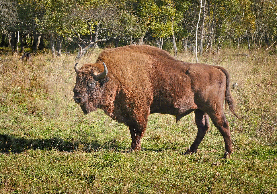 ���� ����� �������  �� PhotoGeek.ru #�������� ���