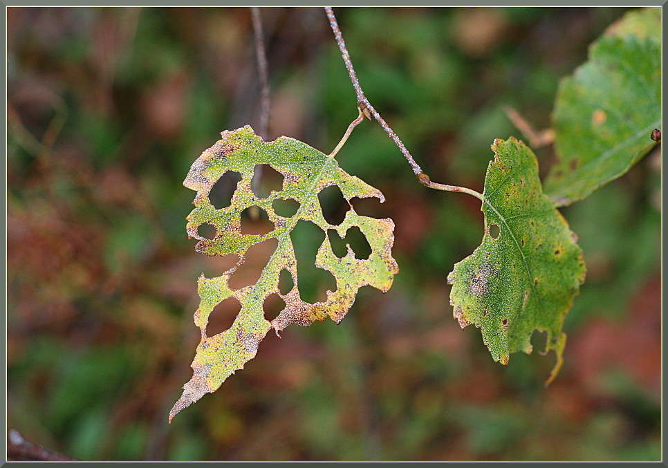 ... ����� �������  �� PhotoGeek.ru #������ ��� ������� #����� ��������������