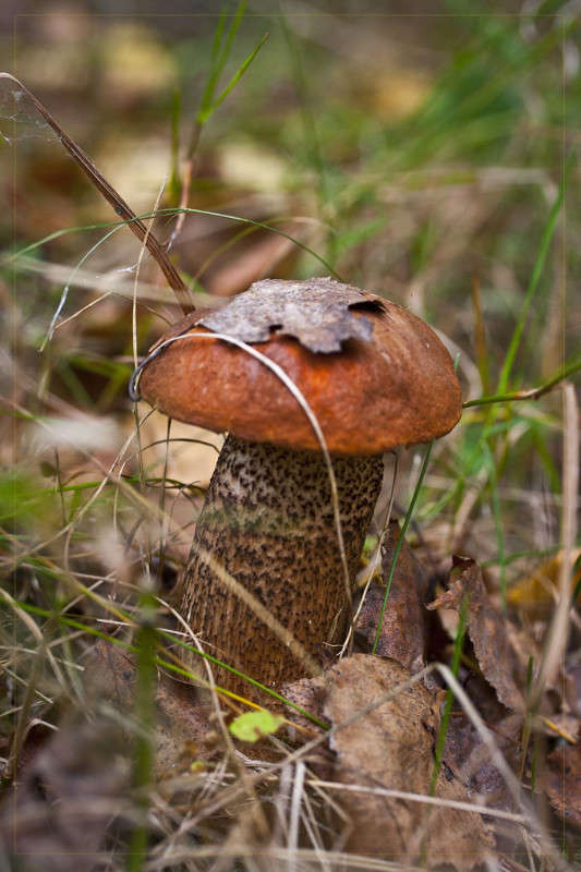 ����������� ����� �������  �� PhotoGeek.ru #������ ��� ������� #����� ��������������