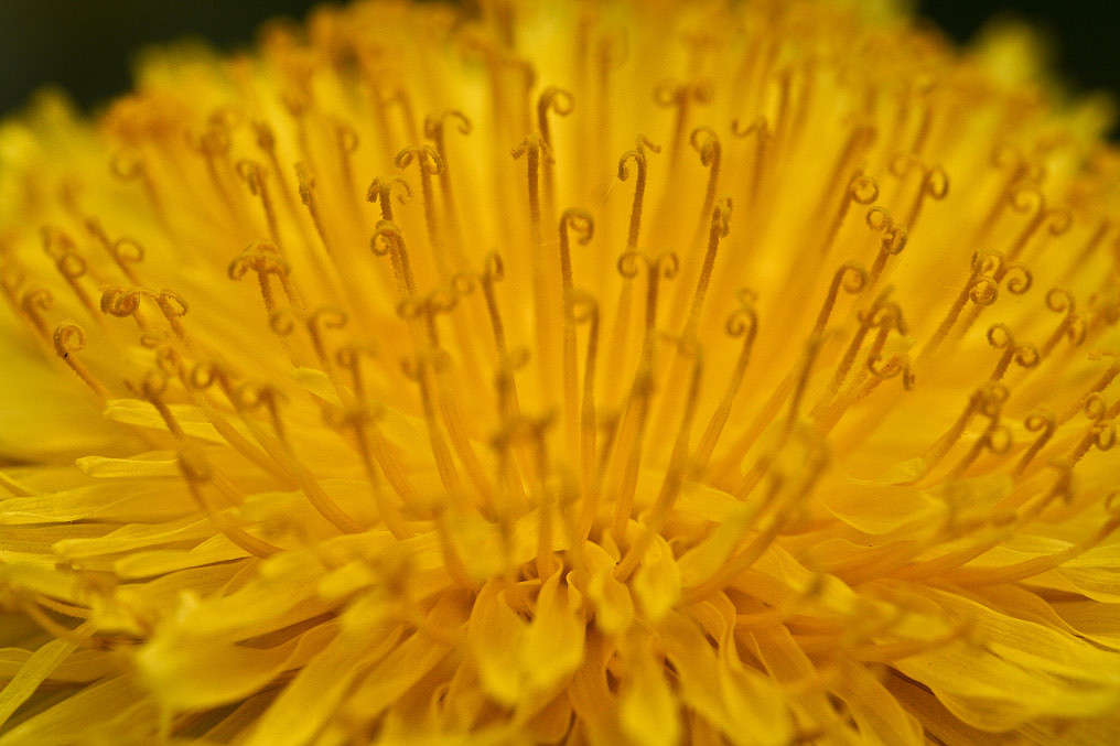 ��������� ������� ����� �������  �� PhotoGeek.ru #����� #������ ��� ������� #����� ��������������