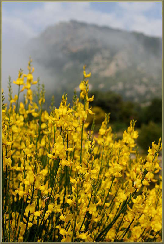 ���� � ����� ����� �������  �� PhotoGeek.ru #������ ��� ������� #����� ��������������