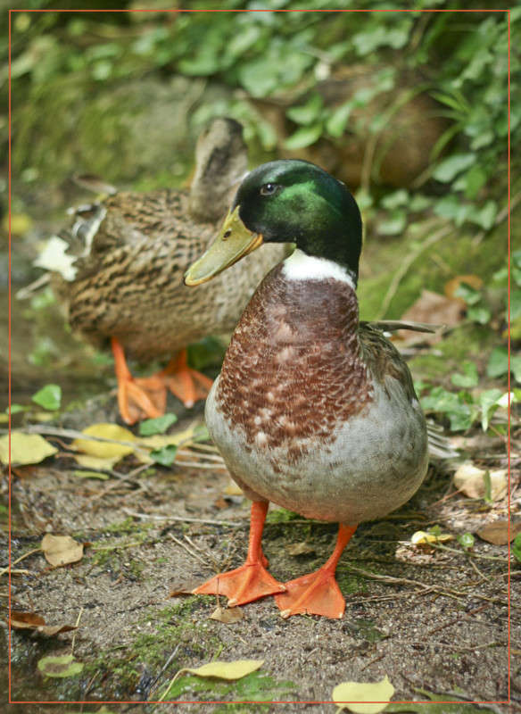 ... ����� �������  �� PhotoGeek.ru #�������� ���