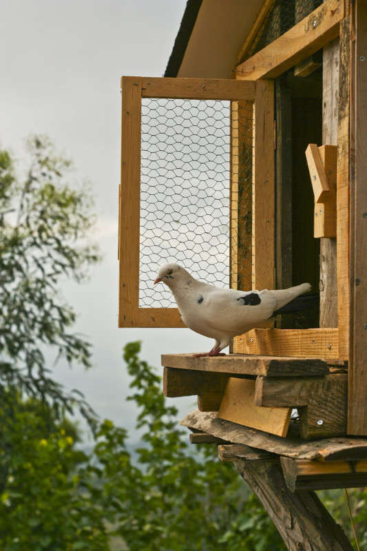 ���� ����� �������  �� PhotoGeek.ru #�������� ����������