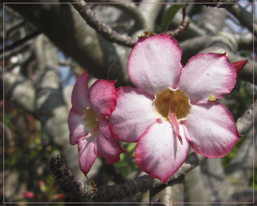 ������� �������� ����� �������  �� PhotoGeek.ru #������ ��� ������� #����� ��������������