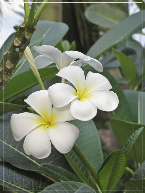 �������� ����� �������  �� PhotoGeek.ru #������ ��� ������� #����� ��������������