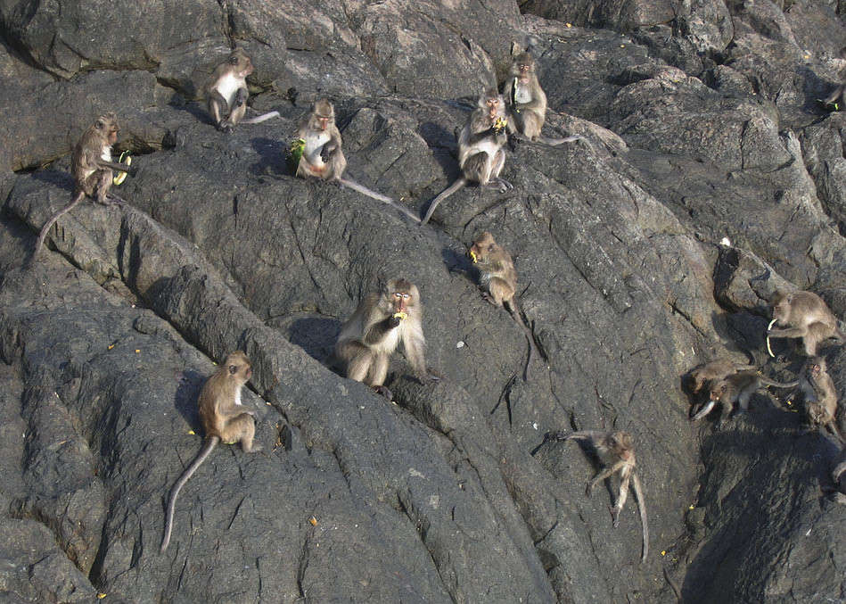 �� ������� ������� ����� �������  �� PhotoGeek.ru #�������� ���