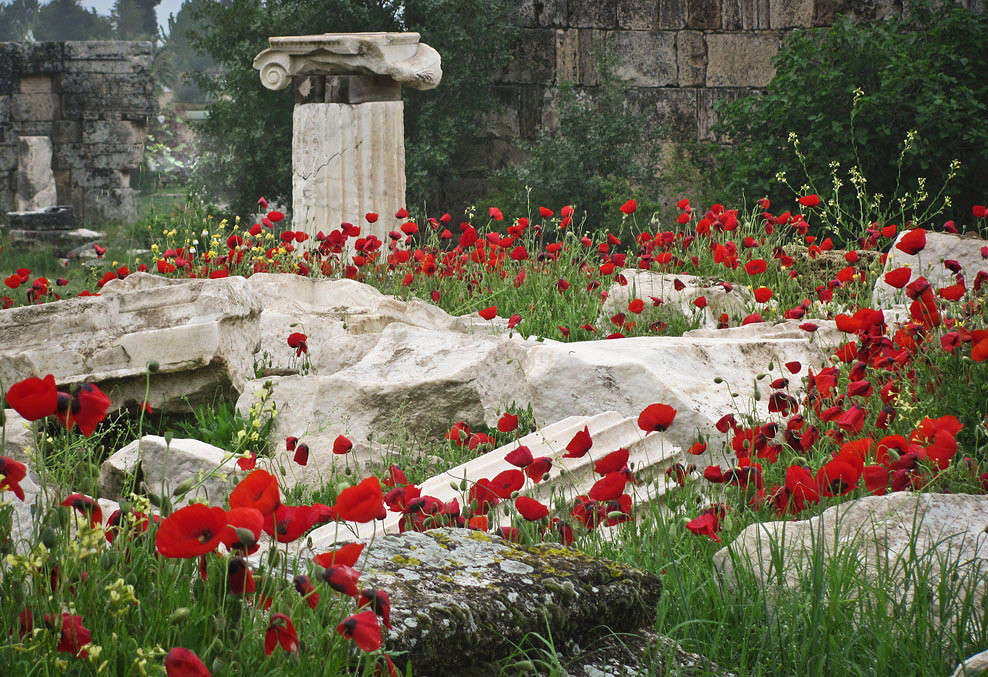 ����� ����� �������  �� PhotoGeek.ru #�������� ����������