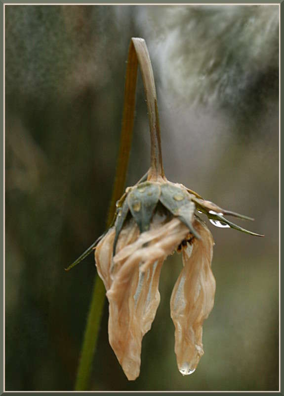 �������� ������ �����... ����� �������  �� PhotoGeek.ru #������ ��� ������� #����� ��������������