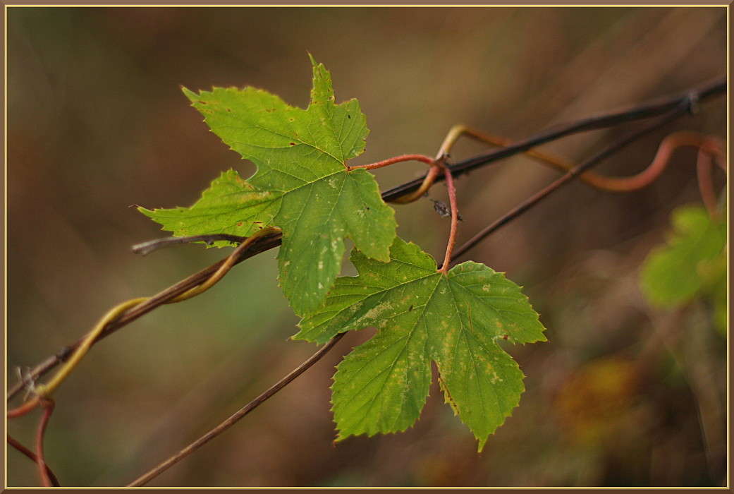 ... ����� �������  �� PhotoGeek.ru #������ ��� ������� #����� ��������������