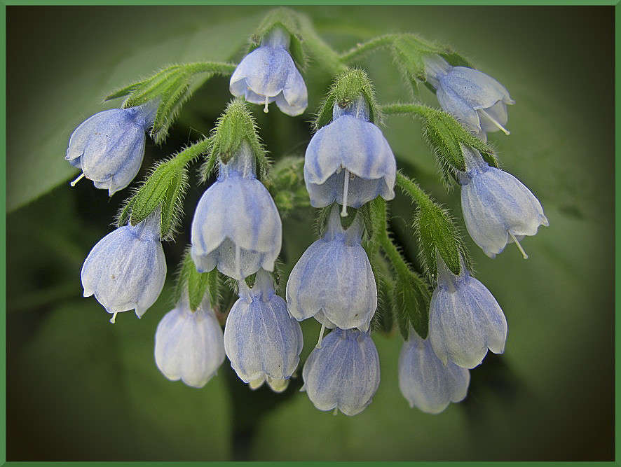 ... ����� �������  �� PhotoGeek.ru #������ ��� ������� #����� ��������������