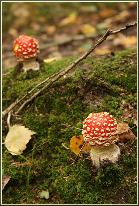 ����� � ���� ��� � �������... ����� �������  �� PhotoGeek.ru #������ ��� �������