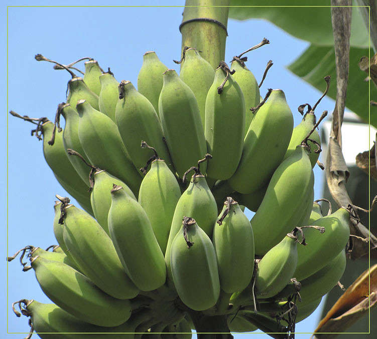 ������ �� ����� ����� �������  �� PhotoGeek.ru #������ ��� ������� #����� ��������������