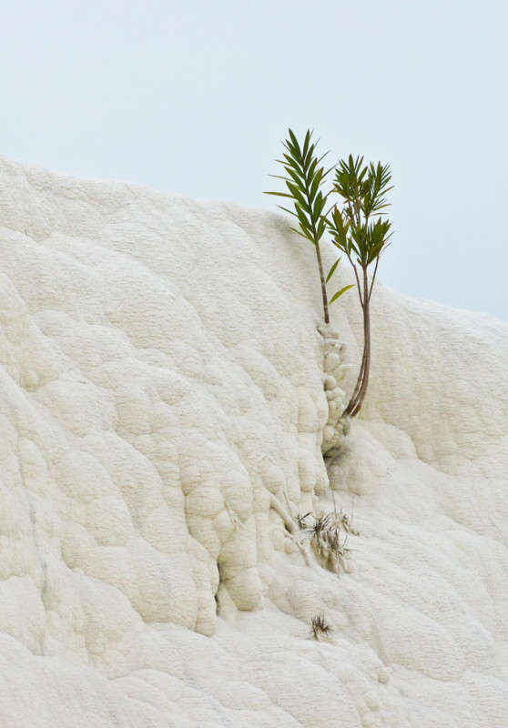 ������� ����� �������  �� PhotoGeek.ru #������ ��� �������