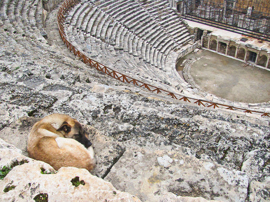 ���������� � ��������� ����� �������  �� PhotoGeek.ru #�������� ����������