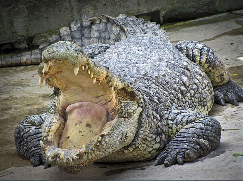 ����� ����� �������  �� PhotoGeek.ru #�������� ���