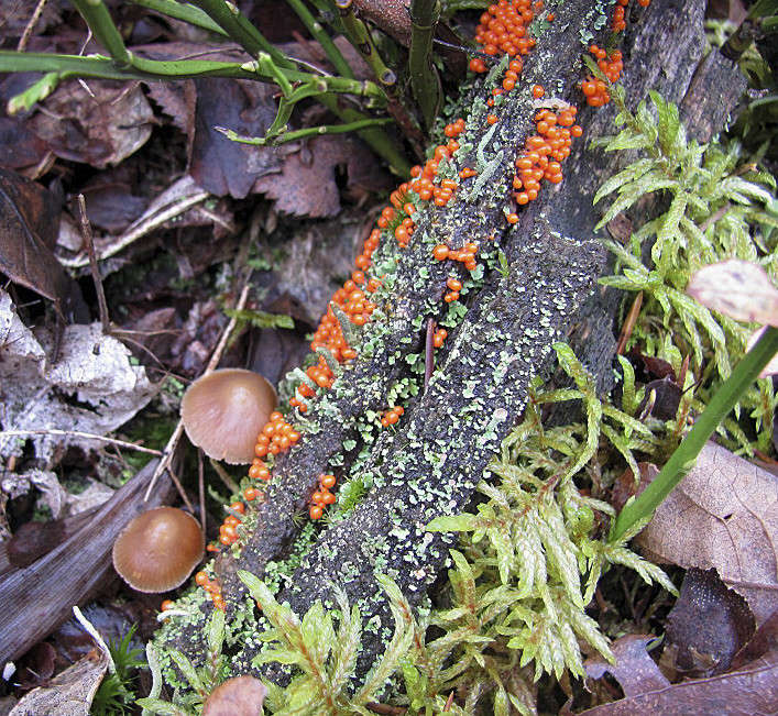 ���� ��������� ����� �������  �� PhotoGeek.ru #������ ��� �������