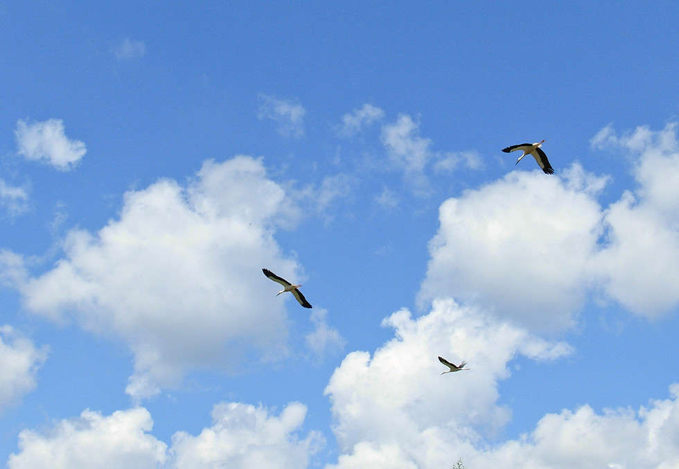 ����� ����� �������  �� PhotoGeek.ru #������ ��� �������