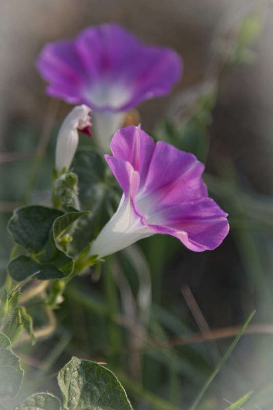 ������ ����� �������  �� PhotoGeek.ru #������ ��� ������� #����� ��������������