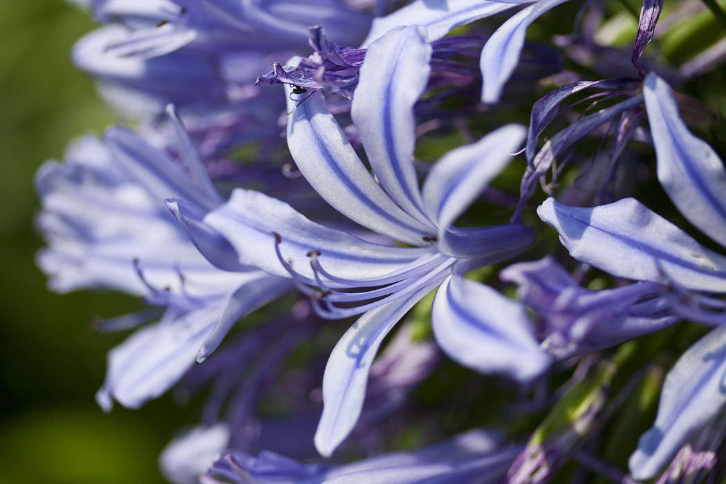 *** ����� �������  �� PhotoGeek.ru #������ ��� ������� #����� ��������������