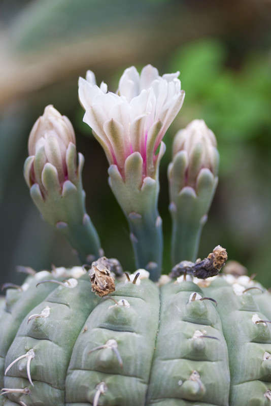 ������ ����� �������  �� PhotoGeek.ru #������ ��� ������� #����� ��������������