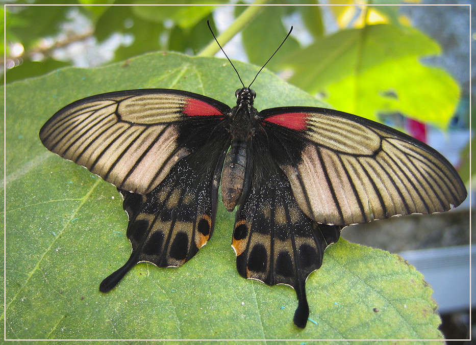 ������� ����� �������  �� PhotoGeek.ru #�������� ��� #������ ��� �������