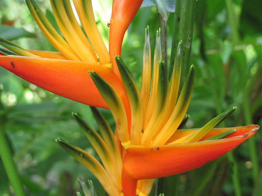 � �������� ����� �������  �� PhotoGeek.ru #������ ��� ������� #����� ��������������