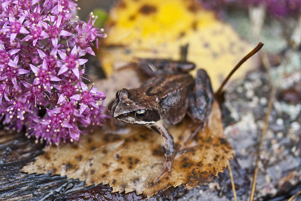 ������� ����� �������  �� PhotoGeek.ru #�������� ���