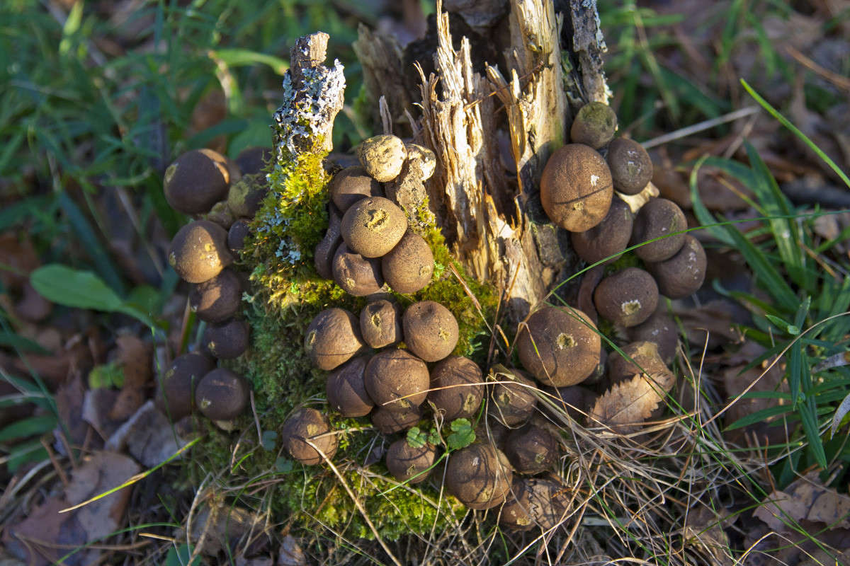 ��� ����� �������  �� PhotoGeek.ru #������ ��� ������� #����� ��������������