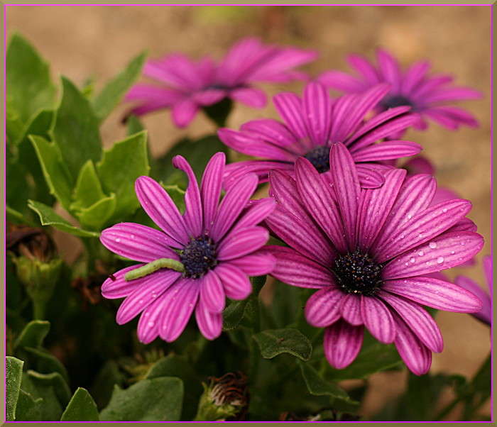 ���� ����� �������  �� PhotoGeek.ru #������ ��� ������� #����� ��������������