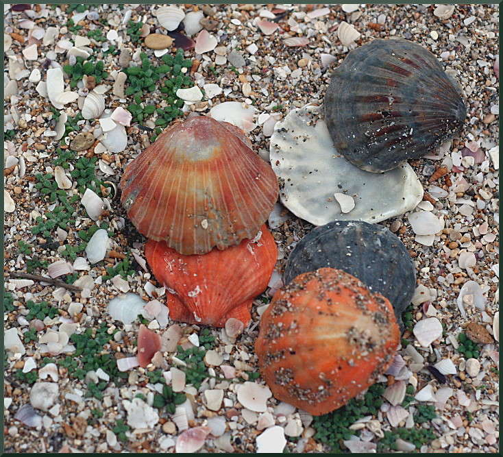 ... ����� �������  �� PhotoGeek.ru #������ ��� �������