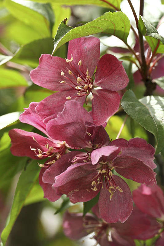 ��������� ���� ����� �������  �� PhotoGeek.ru #������ ��� ������� #����� ��������������