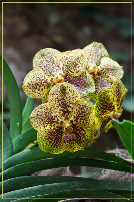 ������� ����� �������  �� PhotoGeek.ru #������ ��� ������� #����� ��������������