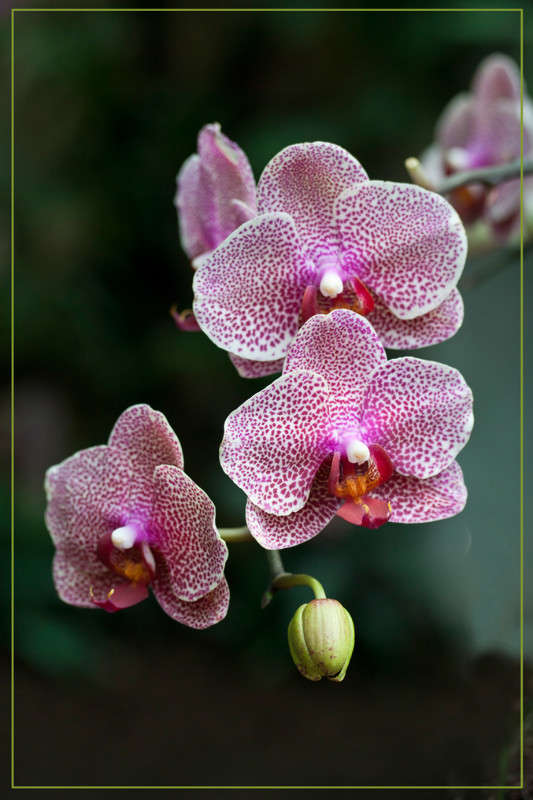 ������� ����� �������  �� PhotoGeek.ru #������ ��� ������� #����� ��������������