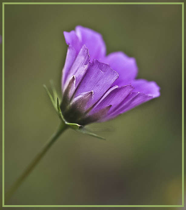 ... ����� �������  �� PhotoGeek.ru #����� #������ ��� ������� #����� ��������������