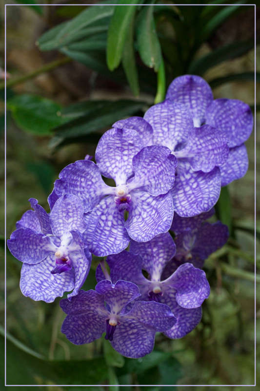 ������� ����� �������  �� PhotoGeek.ru #������ ��� ������� #����� ��������������