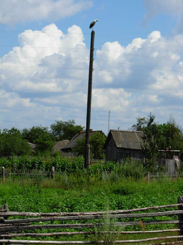 � ������� ����� �������  �� PhotoGeek.ru #������ ��� �������