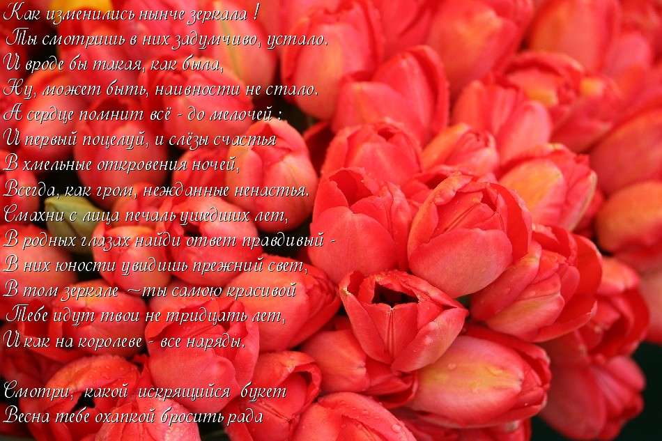 � ����������! ����� �������  �� PhotoGeek.ru #������ ��� �������