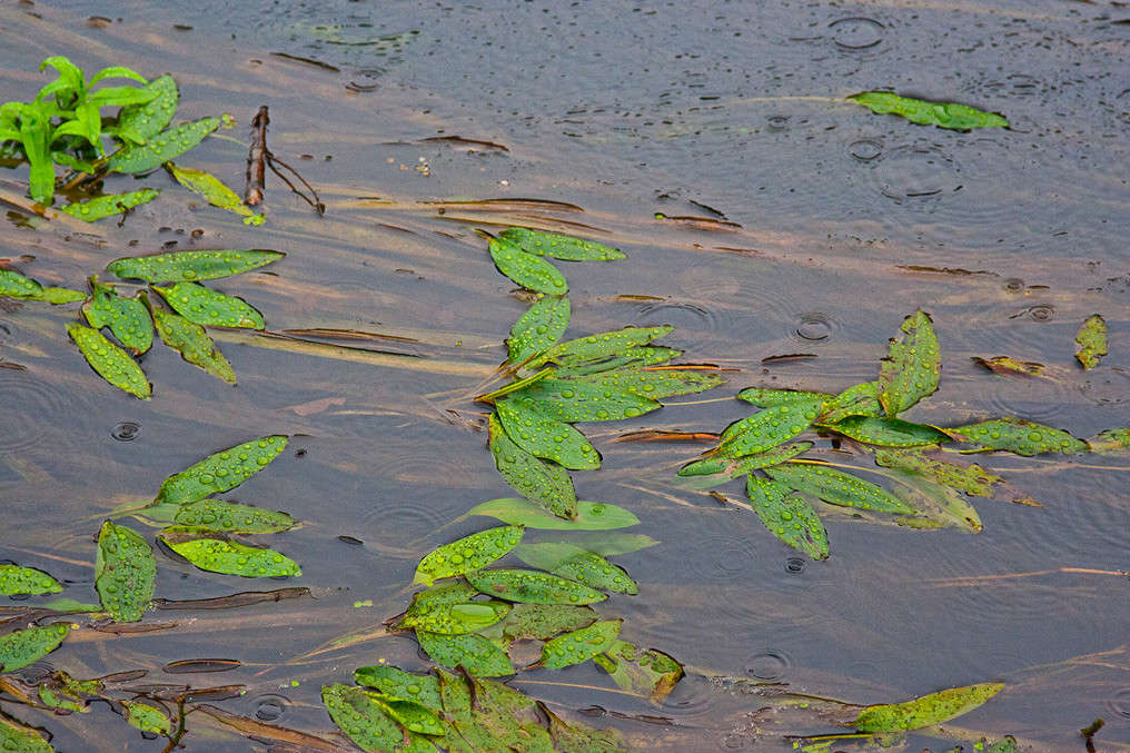 ����� ����� �������  �� PhotoGeek.ru #������ ��� �������