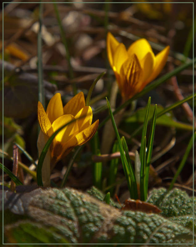 ����� ����� �������  �� PhotoGeek.ru #������ ��� ������� #����� ��������������