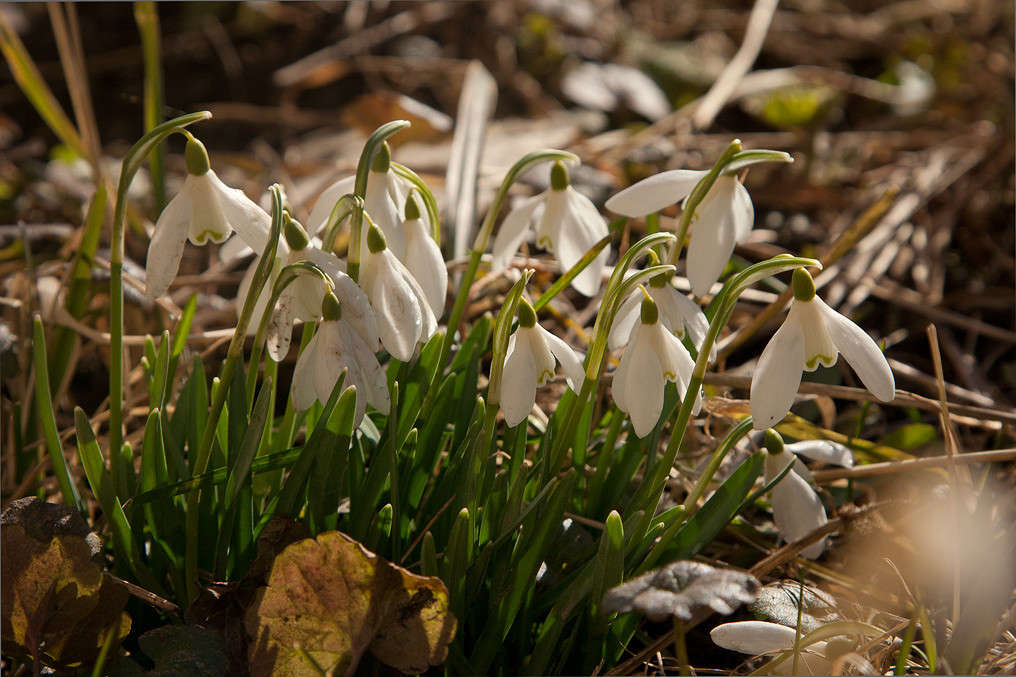 ���������� ����� �������  �� PhotoGeek.ru #������ ��� ������� #����� ��������������