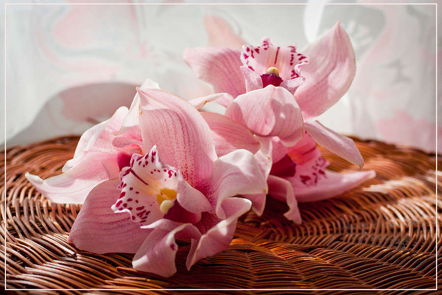 ������� ����� �������  �� PhotoGeek.ru #��������� #�������� ����������