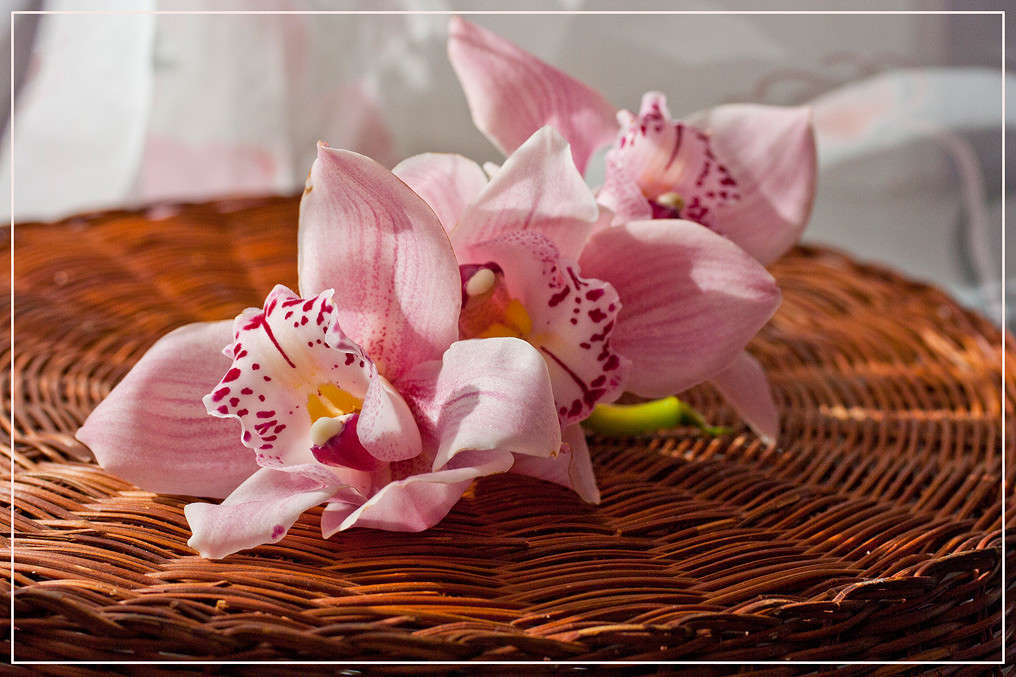 ... ����� �������  �� PhotoGeek.ru #���������