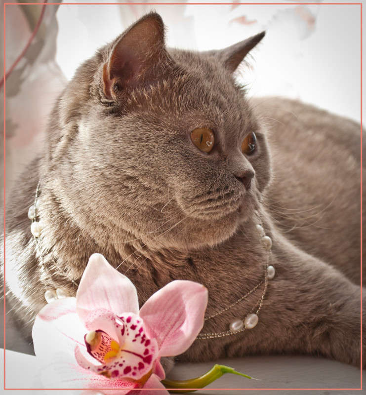 �������� ����� �������  �� PhotoGeek.ru #�������� ���