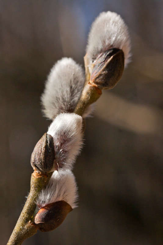 ����� ����� �������  �� PhotoGeek.ru #������ ��� ������� #����� ��������������