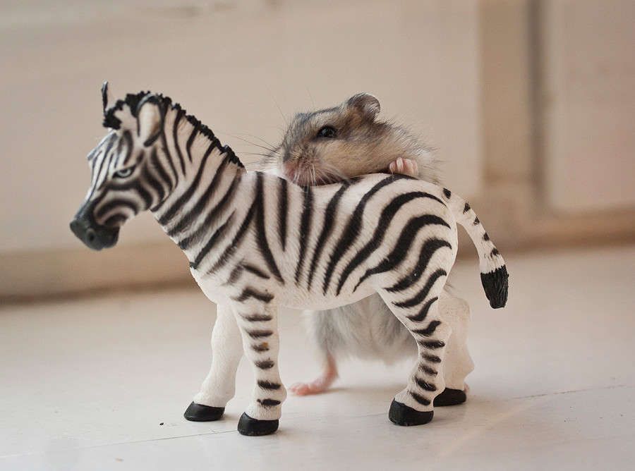 � ����� ���� ������� ����� �������  �� PhotoGeek.ru #�������� ��� #�������� ����������